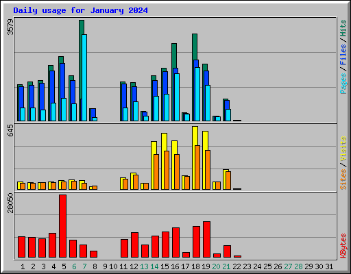 Daily usage for January 2024