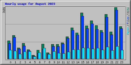 Hourly usage for August 2023