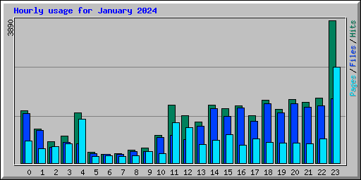 Hourly usage for January 2024