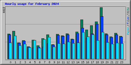 Hourly usage for February 2024