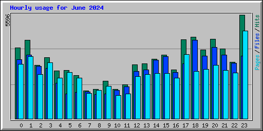 Hourly usage for June 2024